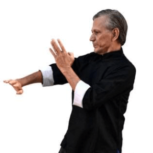 Mestre Kim